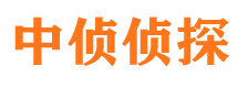 扎囊市调查公司